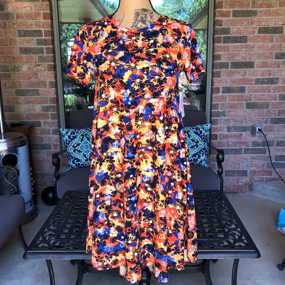 NWT LuLaRoe Carly Dress Fall Floral XXS
